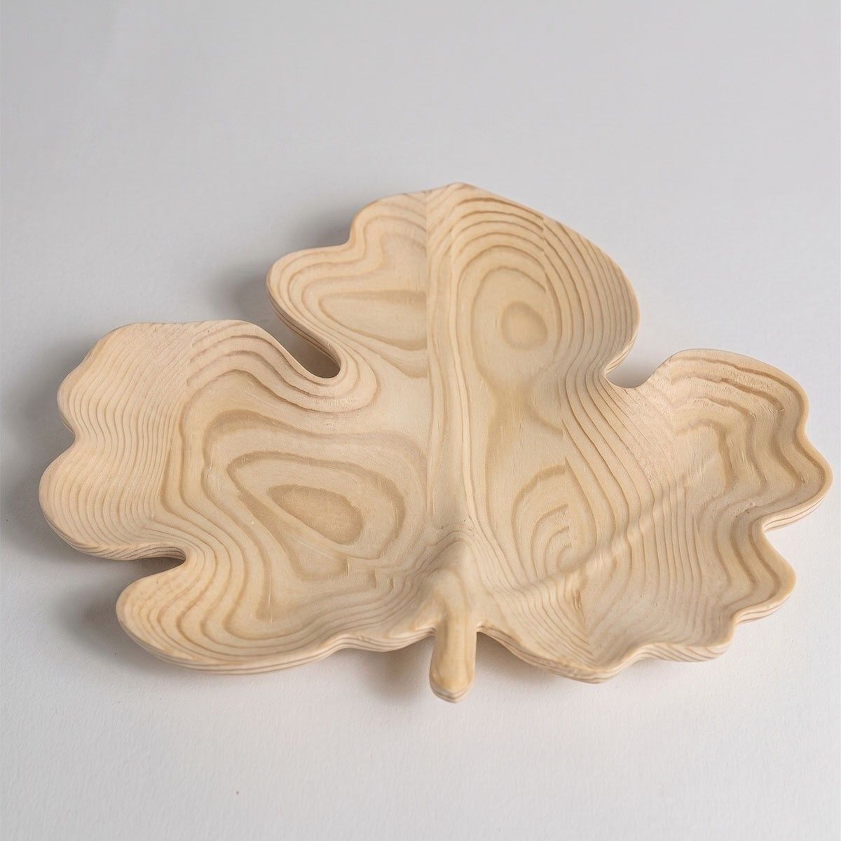 Leaf-shaped tray